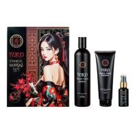 ราคา ชุดแชมพูยาจีน 3ชิ้น โยโกะ แชมพูยาจีน ยาโก๊ะ Yoko เซ็ตแชมพูสูตรสมุนไพรจีน (42274019760)