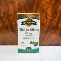 ราคา Ginkgo biloba สารสกัดจากใบแปะก๊วย 60mg เสริมสร้างความจำ บำรุงสมอง (3635914005)