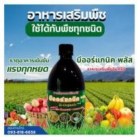 ราคา บีออแกนิคพลัส พร้อมส่ง กรดอะมิโน + ฟลาโวนอยด์ ออร์แกนิคแท้ B Organic plus ปุ๋ยอินทรีย์ เกษตรอินทรีย์ บีออแกนิค พลัส ขนา (18895974685)