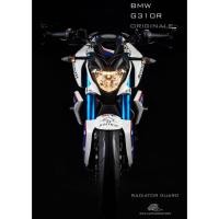 ราคา Leon การ์ดหม้อน้ำ รุ่น Originale สำหรับ BMW G310R SILVER A141/03 (22752730945)