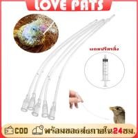 ราคา สายป้อนอาหารลูกนก สายป้อนลูกป้อน นก ที่ป้อนอาหารนก สลิง ป้อนอาหารนก 5ml สายป้อน สัตว์เลี้ยง สัตว์เล็ก (46408564827)