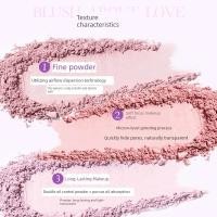 ราคา บลัช บลัชออน R ROZO Meow Two-Color Gradient Blush Palette ครีมโคลนสีขยายหญิงของแท้ Multi-Color Blush Blue Blush Pur (53613343759)