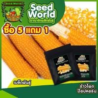 ราคา เมล็ดข้าวโพดป๊อปคอร์น 30 เมล็ด สายพันธุ์แท้ นำเข้า ให้ผลผลิตสูง ฝักใหญ่ ปลูกได้ทุกฤดูกาล (12902898659)