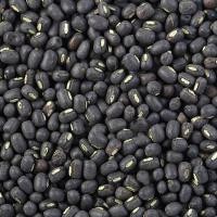 ราคา 35 เมล็ด ถั่วแขกพม่าผิวดำ ถั่วแขกพม่า Common bean Seeds (40280122188)