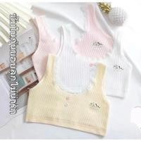 ราคา เสื้อซับในเด็กเสื้อซับในเด็กผู้หญิง เสื้อซับในลูกสาวน่ารัก เสื้อซับในนักเรียนผ้าฝ้ายสัมผัสนุ่ม เสื้อซับในน่ารักสีพาสเทลง (40418069709)