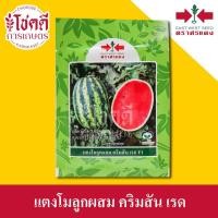 ราคา แตงโม คริมสันเรด คิมสันเรด เมล็ดพันธุ์ แตงโม ลูกผสม ตราศรแดง บรรจุ 40 กรัม (21080260211)