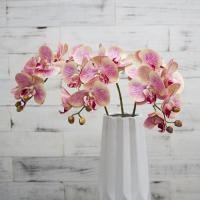 ราคา รู้สึกสมจริงจำลอง Phalaenopsis Orchid โรงแรมเทปประดิษฐ์ดอกไม้เครื่องประดับตกแต่งบ้าน Phalaenopsis จ (25090490341)