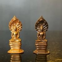 ราคา พระนาคปรก เนื้อสำริด หน้าตัก 1.5 cm (54559875092)
