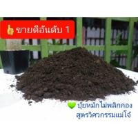 ราคา (1 กก.) ปุ๋ยอินทรีย์ ปุ๋ยหมัก ปุ๋ยแม่โจ้ (สูตรวิศวกรรมแม่โจ้) (6115383877)