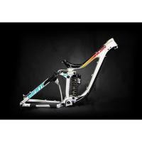 ราคา เฟรมจักรยานดาวน์ฮิลล์ GIANT GLORY ADVANCED FR Color : Silver Rainbow Size S ล้อ 27.5 นิ้ว (40024102518)