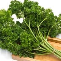 ราคา Curled Parsley Seeds เมล็ดพันธุ์นำเข้า พาสเลย์อิตาเลี่ยน 100 เมล็ด ราคาถูก อาหารอิตาเลี่ยน (56053059082)