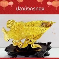 ราคา ปลามังกร ปลา เสริมดวง เสริมฮวจ้ย ปลามังกรทอง ปลามงคลแห่งความมั่งคั่ง โชคลาภ พร้อมส่ง (20374569192)