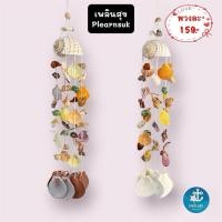 ราคา โมบายโข่งจุด (หอยรวม) / เปลือกหอยธรรมชาติ (40254865628)