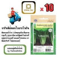 ราคา CTF1 x 10 เมล็ดผักซองเจียไต๋ เขียวกวางตุ้ง ปทุมรัตน์ สินค้ายกแพ็ค (44322106346)