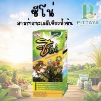 ราคา ซีโน่ ตราฉลาม สาหร่ายทะเล น้ำเขียวมรกต | อาหารเสริมพืช ( ฟื้นฟูต้นหลังเก็บเกี่ยว เปิดตาดอก ผัก ผลไม้ ) (50704173125)