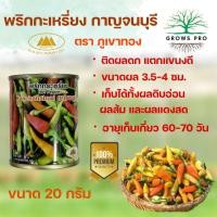 ราคา GrowsPro เมล็ดพริกส้ม พริกกระเหรี่ยง กาญจนบุรี 20 กรัม ตราภูเขาทอง รสเผ็ด กลี่นหอม แตกแขนงดี (25350086879)