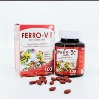 ราคา FERRO-VIT เฟอโร-วิต (100 เม็ด) วิตามินบำรุงร่างกาย เสริมธาตุเหล็ก ผสมวิตามินรวม ช่วยเจริญอาหาร [ของแท้ 100%] (50265099428)