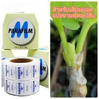 ราคา พาราฟีล์ม เอ็ม / Parafilm M ของแท้ (3948405093)
