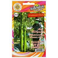 ราคา เมล็ดพันธุ์ บวบหอมยาวพิเศษ บิ๊กไจแอนท์ ตราสี่ทิศ (28036406968)