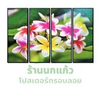 ราคา เซตรูปกรอบลอย 4 ส่วน ภาพดอกไม้สวยงามหลากสีสัน ดอกลีลาวดี ภาพธรรมชาติ ตกแต่งผนังห้องและบ้าน (4753465705)