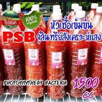 ราคา หัวเชื้อจุลินทรีย์สังเคราะห์แสงเข้มข้น (PSB) สายพันธุ์ญี่ปุ่นแท้ ขนาด 1.5 ลิตร (6494402784)