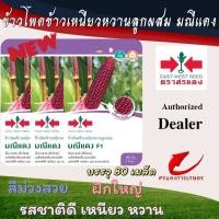 ราคา ผักซองศรแดงข้าวโพดข้าวเหนียวหวานมณีแดง n #ข้าวโพดข้าวเหนียว #ข้าวโพดตราศรแดง #เมล็ดพันธุ์ข้าวโพด #ข้าวโพดสีแดง (18553433987)