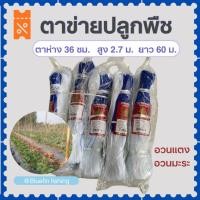 ราคา ตาข่ายปลูกพืช ตาข่ายปลูกแตง ตาห่าง 36 ซม. อวนแตง อวนค้างแตง ค้างบวบ ค้างมะระ ตาข่ายไม้เลื้อย กัดแตง (51802010317)