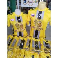 ราคา A059 เสื้อกีฬาพิมพ์ลาย Suncolor SC005-สิงห์ ผ้าไมโคร นุ่มลื่น ใส่สบาย ไม่ต้องรีด มี4สี เหลือง แดง น้ำเงิน ดำ (28808775461)