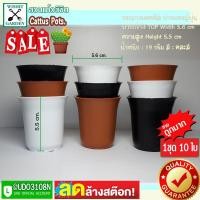 ราคา กระถางแคคตัส ปากแตรทรงญี่ปุ่น ขนาด 2.5 นิ้ว คละสี 1 ชุด 10 ใบ กระถางใส่ไม้อวบน้ำทรงญี่ปุ่น กระถางใส่ต้นไม้ กระถางพลาสติก (10623160503)