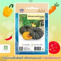 ราคา ฟักทองลายข้าวตอก เจียไต๋ เมล็ดฟักทอง เมล็ดพันธุ์ฟักทอง (913388026)