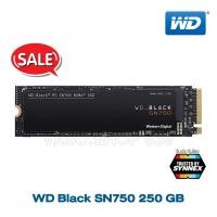 ราคา WD BLACK SN750 250 GB SSD PCIe/NVMe M.2 2280 (WDS250G3X0C) (7136272284)