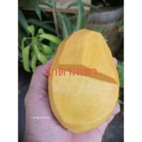 ราคา พันธุ์มะม่วงน้ำตาลเตา ทาบกิ่ง 80ซม. (3331349808)
