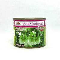 ราคา มะเขือเปราะน้ำหยดราชบุรี#29 ตราตะวันต้นกล้า ขนาด 20 g. (10938522679)