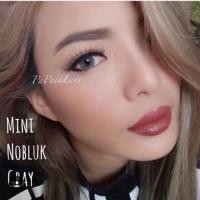 ราคา Limited Edition(1)mini Nobluk Gray ลิมิเต็ด มินิ นพลักษณ์ ฝาม่วง Dream Color 1 คอนแทคเลนส์ ค่าสายตา สายตาสั้น สายต (5246437317)