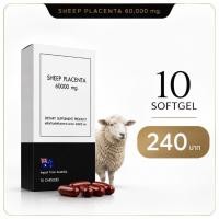 ราคา รกแกะ Sheep Placenta 60000mg อาหารเสริมหน้าเด็ก ลดริ้วรอย ผิวใส อิ่มฟู (10แคปซูล) (9676181068)