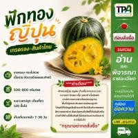 ราคา ฟักทองญี่ปุ่น (เบอร์รอง-01) 3, 5, 10 กก. 500-900 กรัม/ผล ผิวอาจมีตำหนิ แผล เนื้อสวย (สินค้าไทย) (22917136660)
