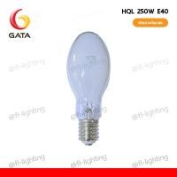 ราคา ( ส่งด่วน ) GATA หลอดแสงจันทร์ ชนิดผ่านบัลลาสต์ 250W ขั้ว E40 / หลอดไฟแสงจันทร์ MERCURY 4200K ( HQL 250W ) (58101621835)
