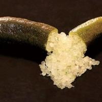 ราคา ต้นมะนาวนิ้วมือ มะนาวคาเวียร์ Finger lime พันธุ์ CHOCOLATE LIMONETลำต้นสูง 30 ซม (9370273425)