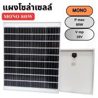 ราคา แผงโซล่าเซลล์ MONO 80W แผง 80 วัตต์ Solar Cell แผงโมโน โซล่าเซลล์ แผงโซล่า แผงพลังงานแสงอาทิตย์ (24347569585)