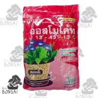 ราคา ปุ๋ยออสโมโค้ท ปุ๋ยละลายช้า สูตรบำรุงต้นสมบูรณ์ 13-13-13 ขนาด 1 กิโลกรัม ถุงซิปล็อค (22969659691)