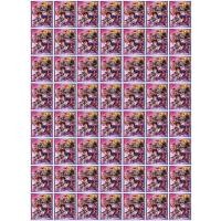 ราคา สลีฟบัดดี้ไฟท์ลาย ภาคX รวมพลังบัดดี้ไฟท์60ใบ (5432235054)