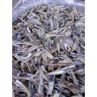 ราคา ปลาฉิ้งฉ้าง ปลาทะเลอ่าวไทย ปลาจิ้งจั้ง ปลาฉิ้งฉั้ง ปลาสดใหม่ ขนาด 500 กรัม (11911312448)