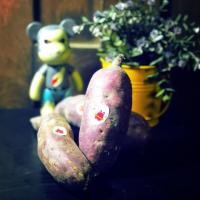 ราคา มันหวานญี่ปุ่น ตรา MG (japan sweet potato) (4332899053)