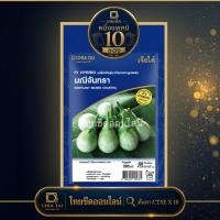 ราคา CTSE x 10 เมล็ดผักซองเจียไต๋ แตงร้าน อมตะ 765 สินค้ายกแพ็ค (41432325296)