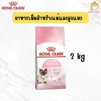 ราคา Royal canin mother & baby cat 2 kg อาหารเม็ดสำหรับแม่แมวตั้งท้องและลูกแมวหลังหย่านม (55912360322)