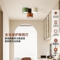 ราคา โคมไฟดาวน์ไลท์แบบติดตั้งบนพื้นผิว, โคมไฟเพดาน LED สีสันสดใสสำหรับห้องเด็ก, ห้องนอน, ห้องทำงาน และห้องนั่งเล่น (55614875060)