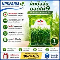 ราคา ศรแดง ผักบุ้งจีนยอดไผ่9 ขนาด 1 ก.ก. 04/09/2570 ผักบุ้ง ผักบุ้งจีน ยอดไผ่ ใบเรียวเล็ก สีเขียวสด (29855936976)