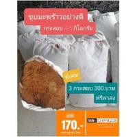 ราคา ขุยมะพร้าวละเอียด แพ็ค 3 กระสอบ บรรจุ 4-5 กิโลกรัม/กระสอบ พร้อมจัดส่งฟรี ขุยตอนกิ่ง ชำกล้า ผสมดิน ช่วยเก็บความชื้น (8597219385)