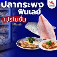 ราคา กะพงฟินเลย์ 1kg.ชิ้นใหญ่ ปลาทะเลสด (42482619570)