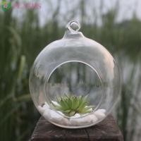 ราคา FLASHSYN แขวนแจกันแก้ว, Borosilicate Glass Ball แขวน Tealight ผู้ถือ, แก้วเทียน 6/8/10/12/15 ซม.ใส Succulents พืช Ball คอนเทนเนอร์ตกแต่งบ้าน (49365448596)